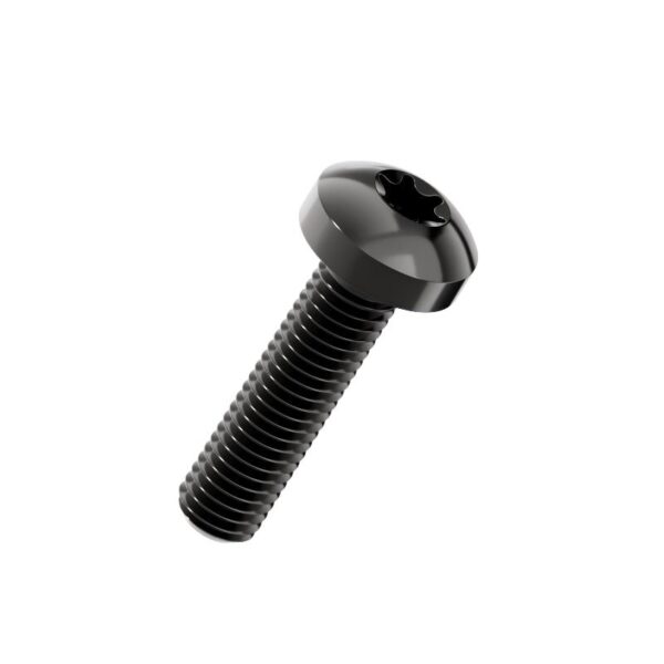 Torx-pan-head-screw-black