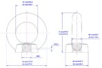 DIN582-Lifting-Eye-Nut-M20