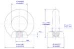 DIN582-Lifting-Eye-Nut-M48