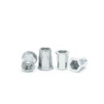 Flat-Head-Half-Hexagon-Riveted-Nut-white-1