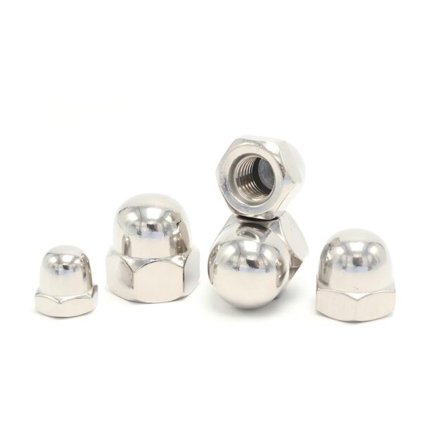 Hexagon-Cap-Nut-304-1