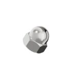 Hexagon-Cap-Nut-304