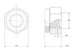 Hexagonal-Nylon-Lock-Nut-M14