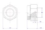 Hexagonal-Nylon-Lock-Nut-M16