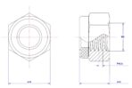 Hexagonal-Nylon-Lock-Nut-M2
