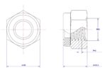 Hexagonal-Nylon-Lock-Nut-M24