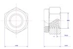 Hexagonal-Nylon-Lock-Nut-M30