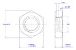 Hexagonal-Thin-Nut-M20