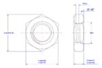 Hexagonal-Thin-Nut-M22