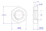 Hexagonal-Thin-Nut-M39