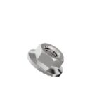 Hexagonal-flange-nut-serrated-304
